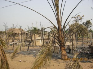 394869_137396083085152_2090314651_n